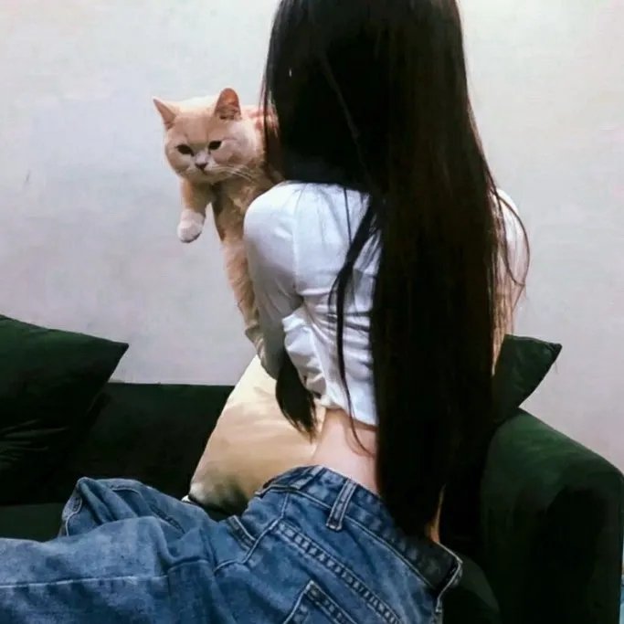 条子阿不拉